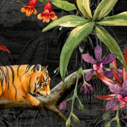 Panthera