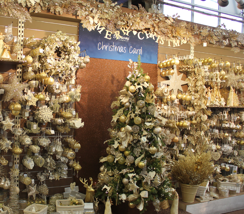 bbrown Glitter in Garsons Christmas Display