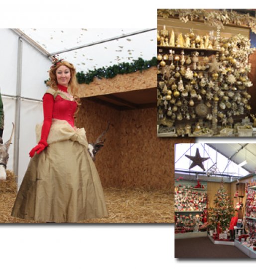 bbrown Glitter in Garsons Christmas Display
