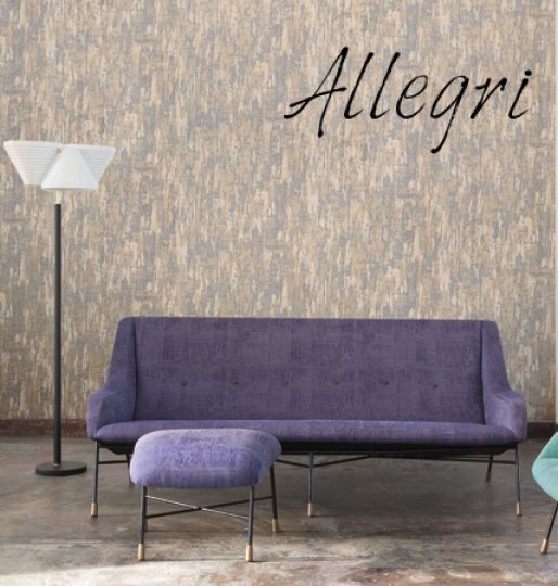Fardis Launches Allegri