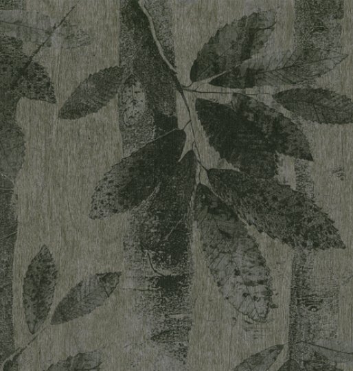 New Fardis wallpaper designs online now!