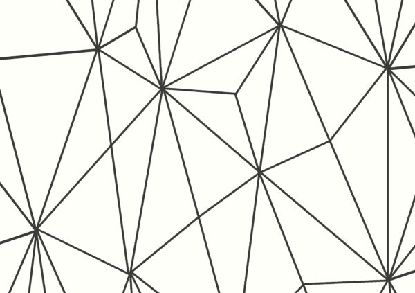 12050_-_Geo_Shard_-_Muraspec_Web.jpg