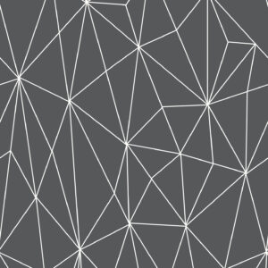 12051 - Geo Shard_Full_Repeat_Web