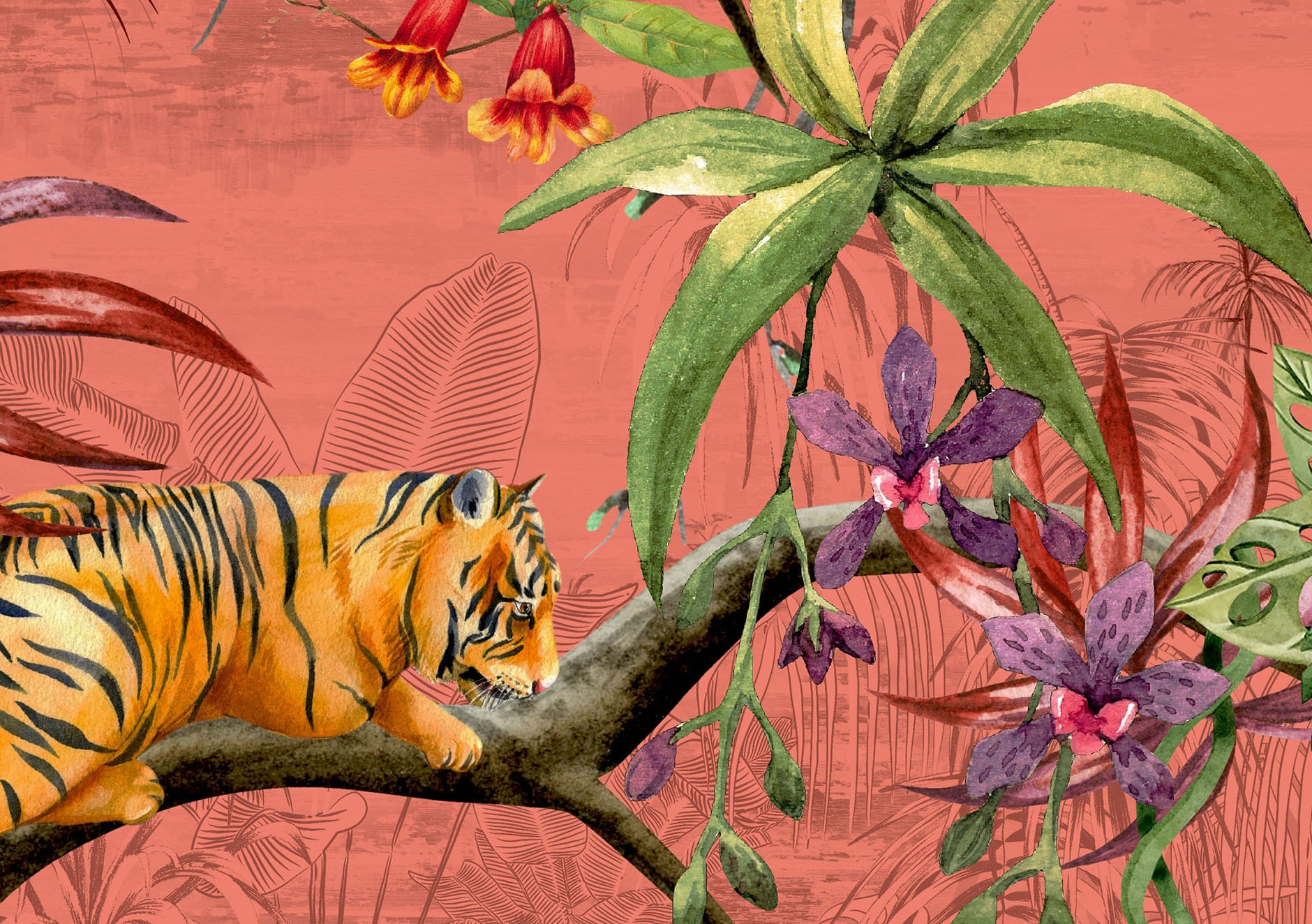13434-Panthera_Muraspec-Web
